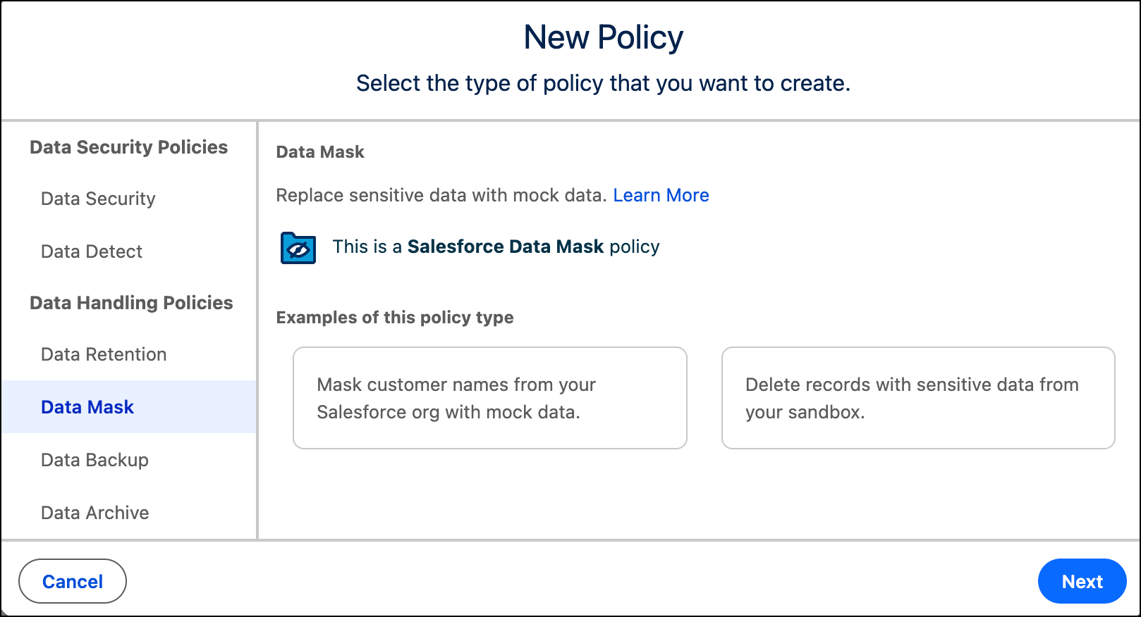 Velg policytypen Data Mask for å fortsette.