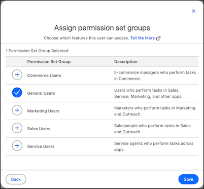 Assign a user to permission set groups.