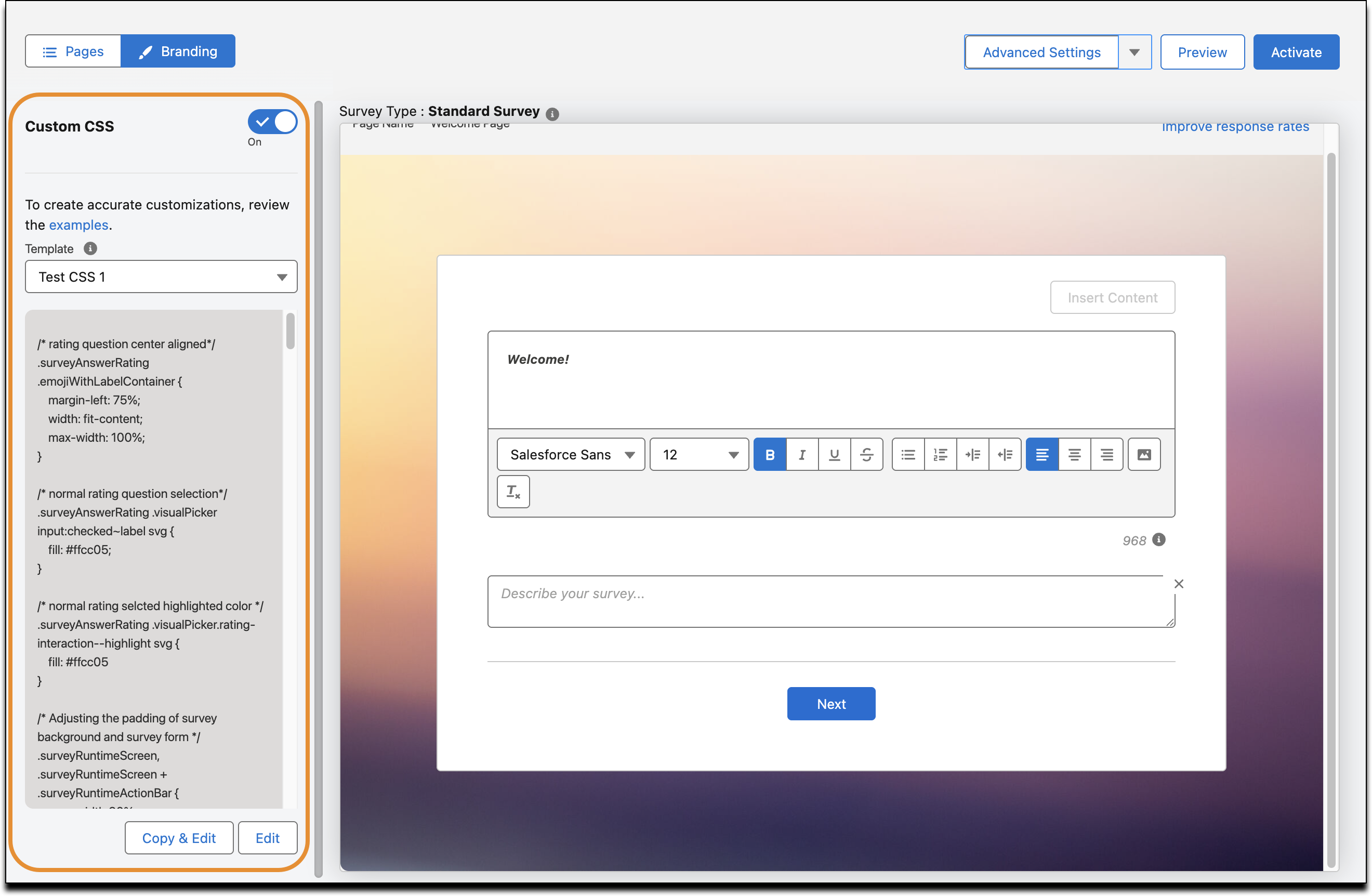 The Custom CSS panel with the Copy and Edit and Edit buttons.