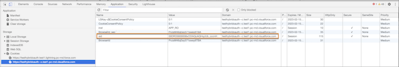 Browsercookies, die vom Umfang 'visualforce' festgelegt werden