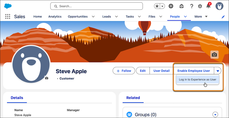 Log in to Experience as User option on the People record page.