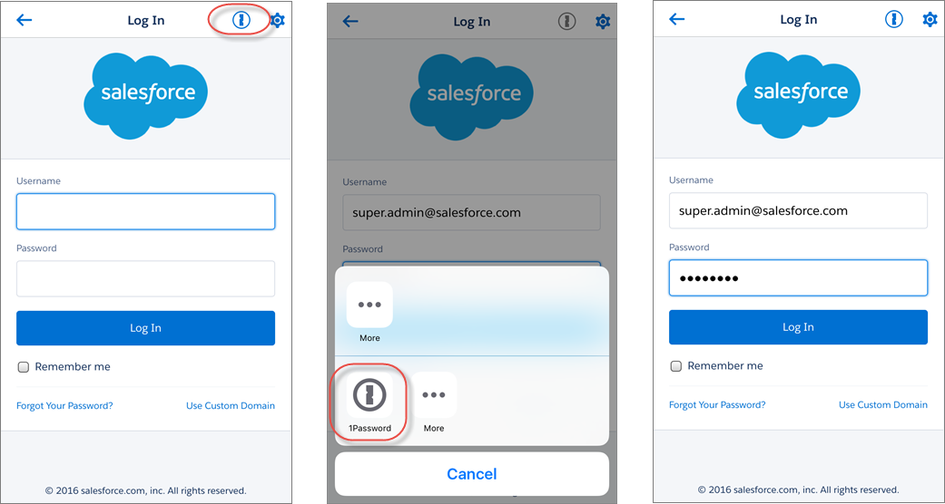 Inicio de sesión del gestor de contraseñas de la aplicación Salesforce