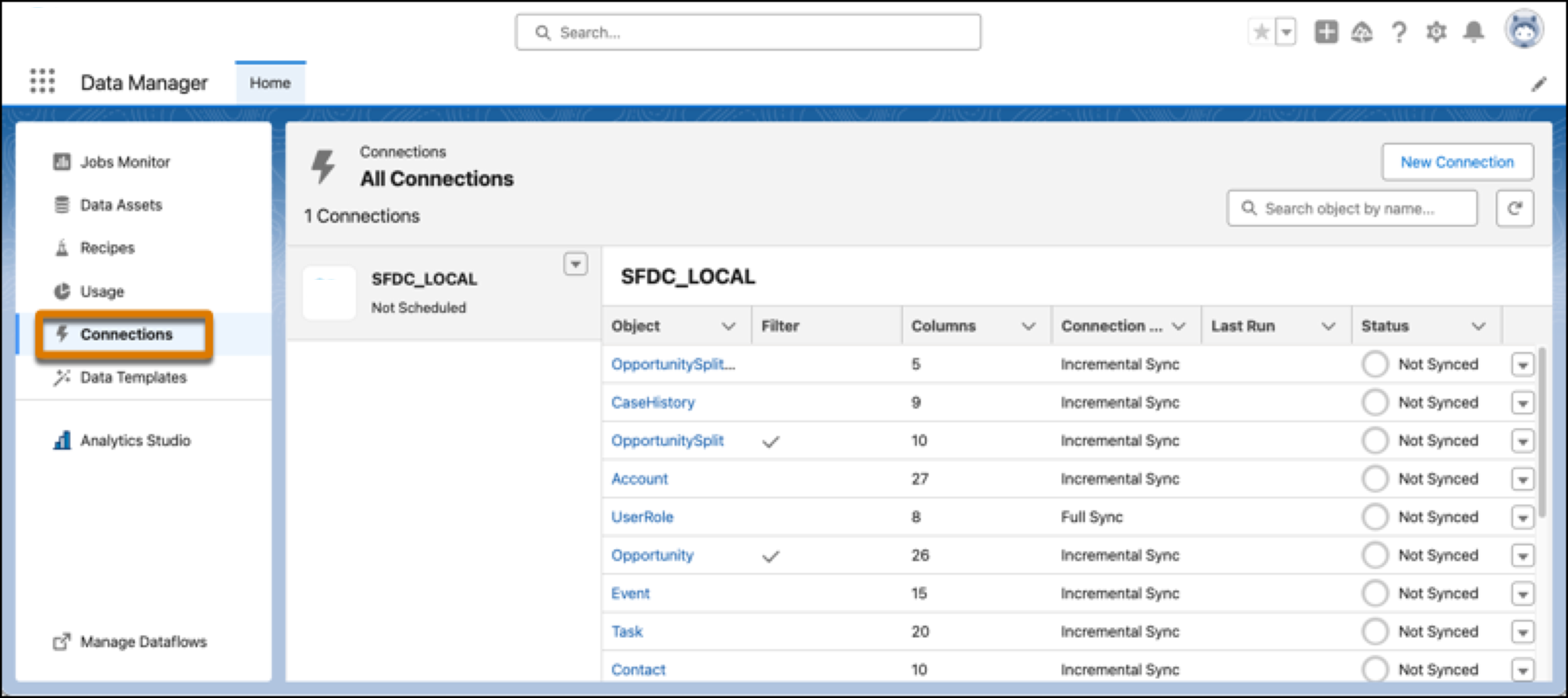 The connection page showing the default connection to your local Salesforce org with the default connected objects.