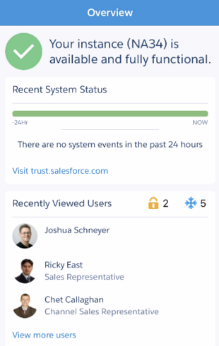 Fönstret Översikt i SalesforceA