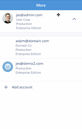 Schermata dell'elenco di account SalesforceA.