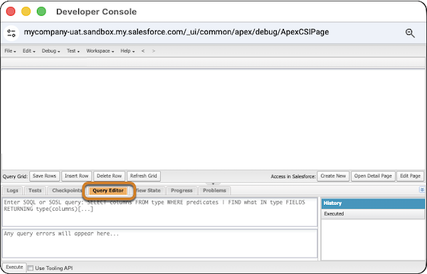 Developer Console with the Query Editor tab