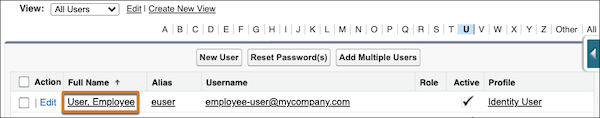 User list view with user's full name selected.