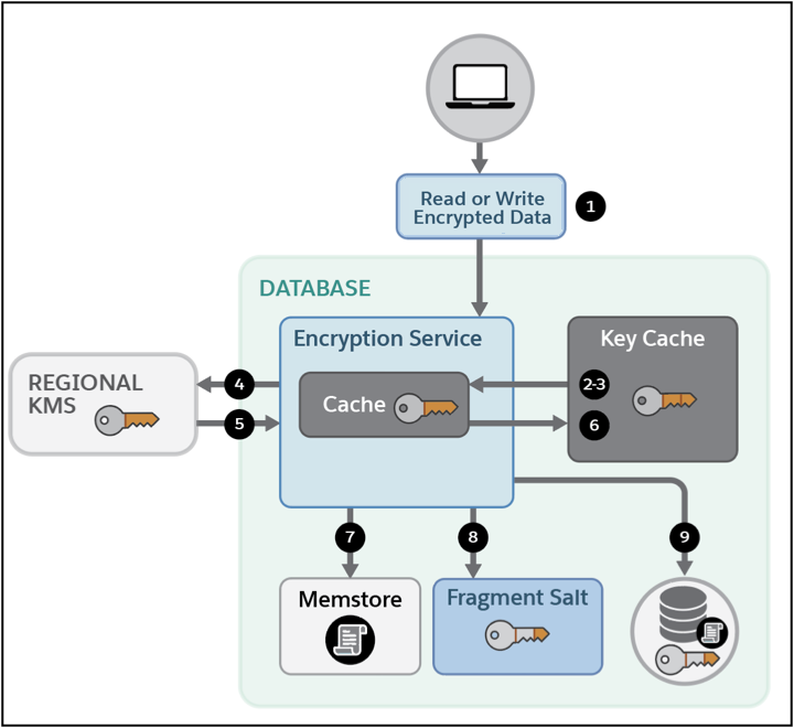 Encryption process flow for Transaction Level Encryption