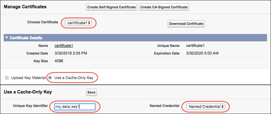 Configure una conexión de llamadas de clave de solo caché en la página Gestión de claves.