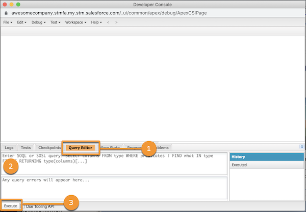 La Developer Console avec l'éditeur Query entouré.