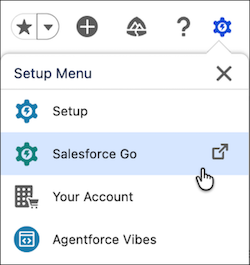 Меню шестеренки с параметром Salesforce Go