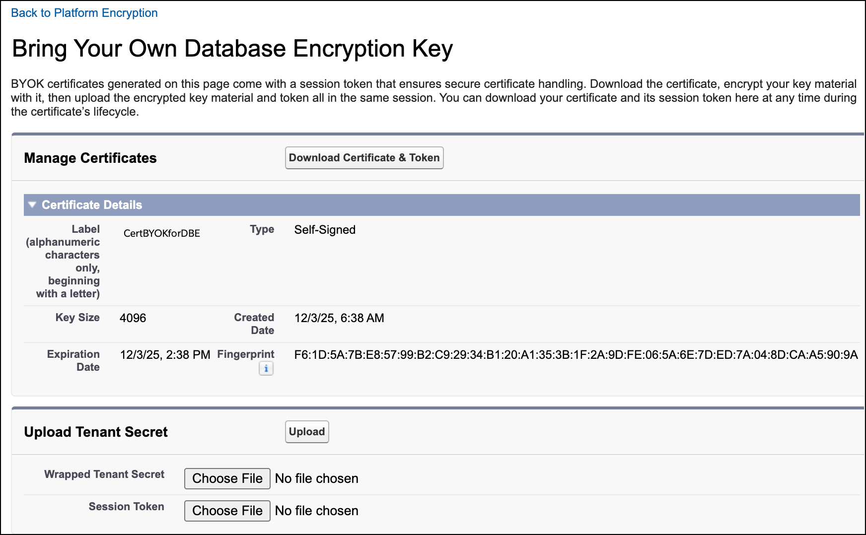Upload a tenant secret for Database Encryption